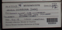 Image Associated With the Occurence
